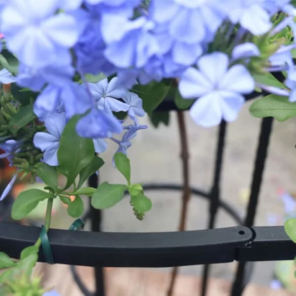 [CA] Have støtte til klatreplanter og blomster, metalstøtte til planter Sort 180cm