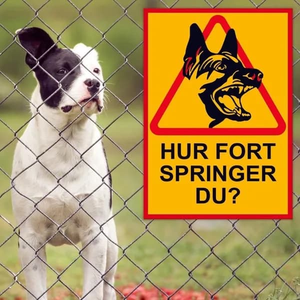[CA] HUR SNABBT KAN DU SPRINGA? Skylt / Hundskylt / Varningsskylt / A4