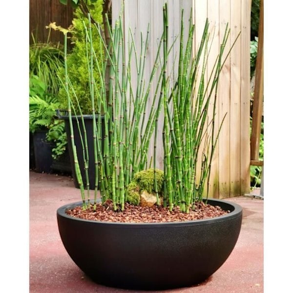 RIVIERA - Blomsterkrukkeholder - granit D40 - sort