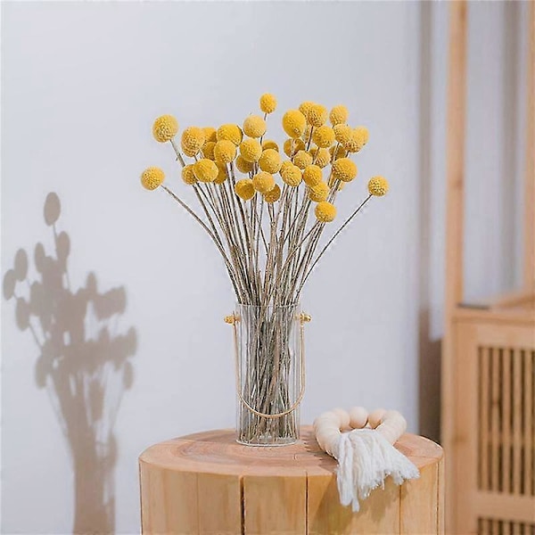 CASA 80 stk. Tørrede Craspedia Blomster Tørrede Billy Button Kugler Blomster, Tørret Blomsterbuket til Arrangement