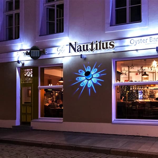Sæt med 2 IP67 Vandtætte RGB Dekorative Solcellelamper til Haven