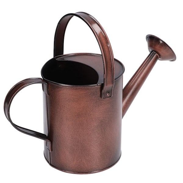 Vannkanne i jern 1,5L Mini 30x12cm/11,8x4,7in Rustfri for hjem utendørs innendørs planter blomster