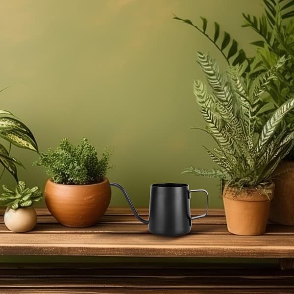 Mini vandkande, rustfrit stål med lang tud til små indendørs planter, sukkulenter og bonsai, sort, 350 ml