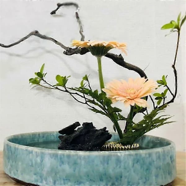 Blomstergrodor 12 kpl Pyöreä Messinki Asettelupidike Kiinnitystyökalu