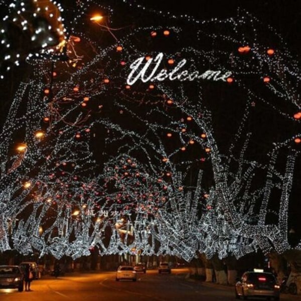 DPZO LED-lyslenke for eventyrdekorasjon til jul, hvit, 10M 100 LED-DPZO.ca