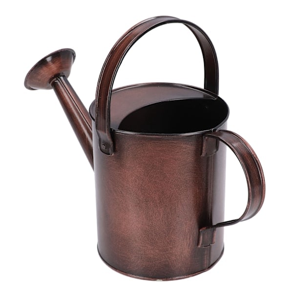 Vannkanne i jern 1,5L Mini 30x12cm/11,8x4,7in Rustfri for hjem utendørs innendørs planter blomster