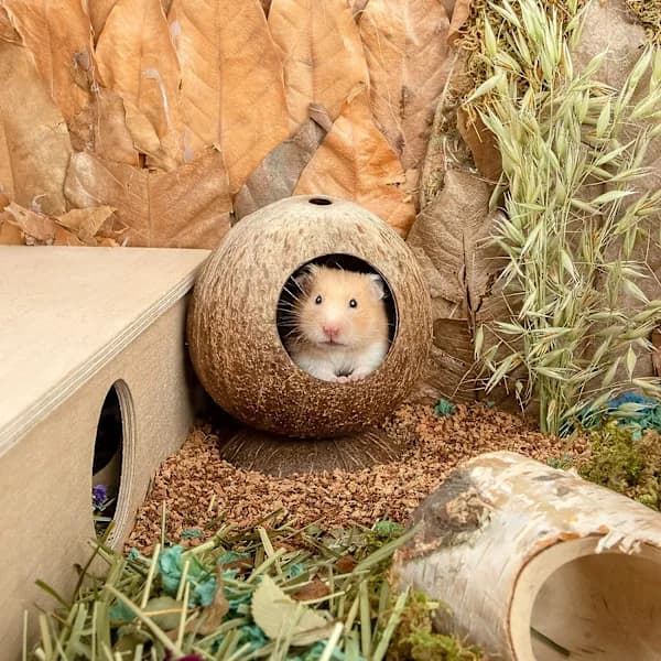Coco Hut Hamsterhus Seng til Gerbiler Mus Smådyrsbur Hab