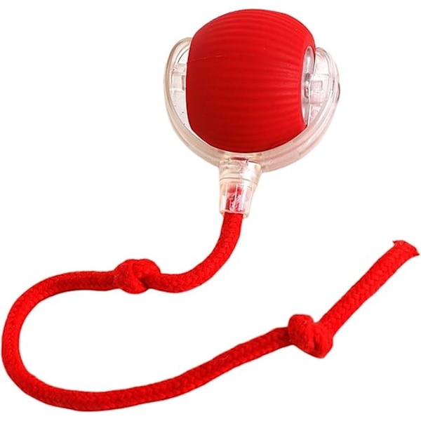 Interactive Cat Toy / Toy for Cat - Ball that Moves