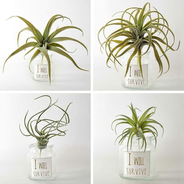 CASA 8-pack Konstgjord Ananasgräs Luftväxter Falska Blommor Faux Flocking Tillandsia Bromeliadväxter Hem G