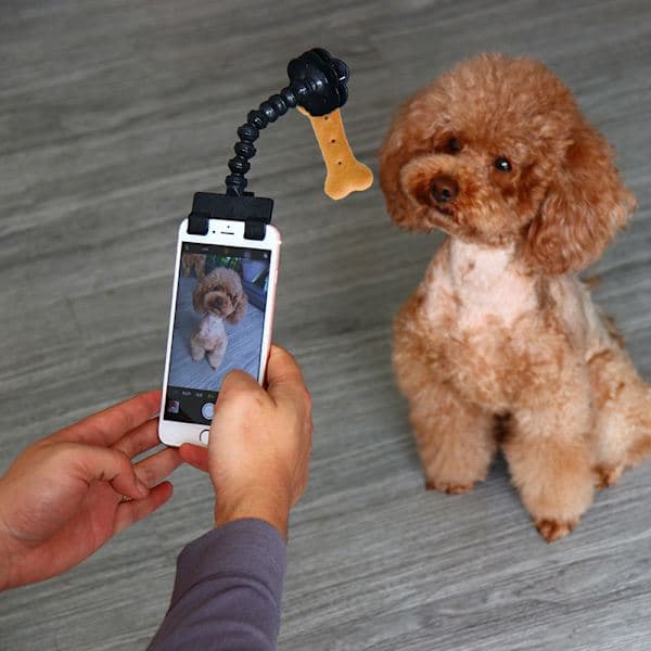 Hunde-Selfie Stick Bærbar Kæledyrs-Selfie Stick Kattefotografering