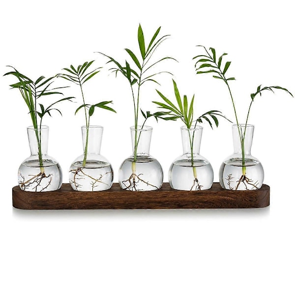 CASA Växtterrarium Förökningsstation, Glasplanteringslampa med Träbricka, Moderna Knoppvaser för