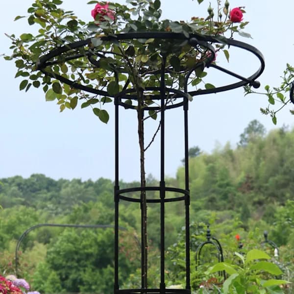 [CA] Have støtte til klatreplanter og blomster, metalstøtte til planter Sort 180cm