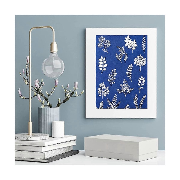 CASA 40 stk. Soltrykkpapirsett med akrylpanel A5 Soltrykk Kunstpapir Sensitivitet Naturtrykk