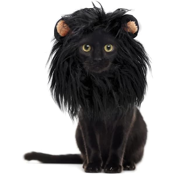 Kattdräkt Lejonman Peruk Mössa Hatt Svart M