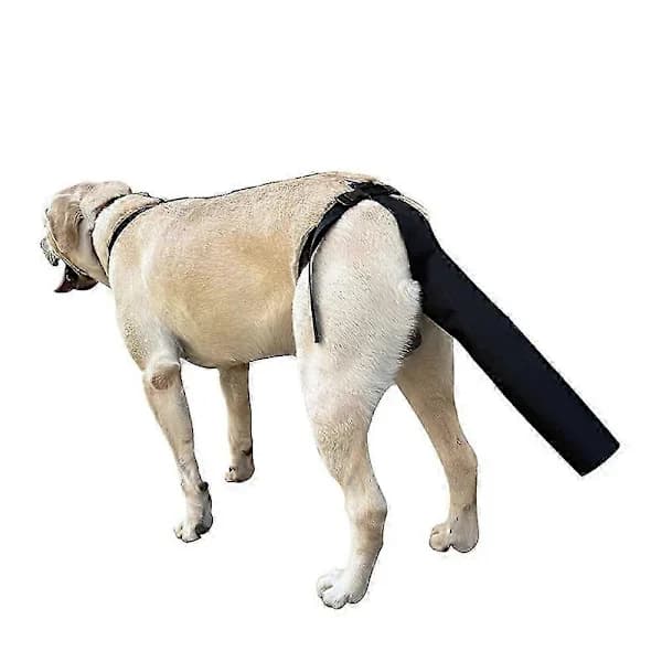 Halebeskyttelse for hunder, Halebeskyttelse for hunder Halebeskyttelse for sår Svart hundesele M