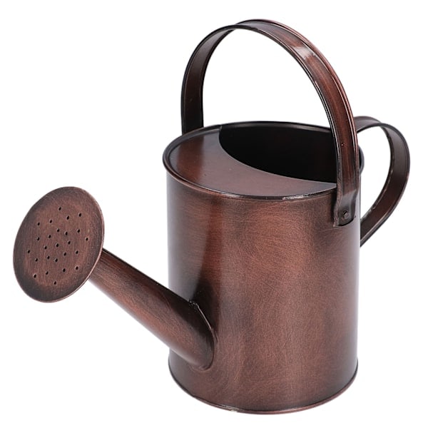 Vannkanne i jern 1,5L Mini 30x12cm/11,8x4,7in Rustfri for hjem utendørs innendørs planter blomster