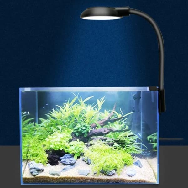 LED akvarielampe, klemme på akvarium, belysning til små og mellemstore akvarier