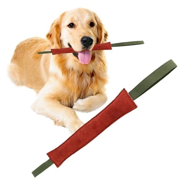 1 oförstörbar hundpudding, 30 cm, med 2 handtag