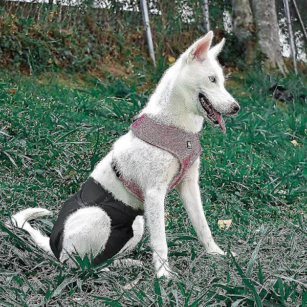 Genanvendelige vaskbare hundebluser, meget absorberende hundebluser Sort