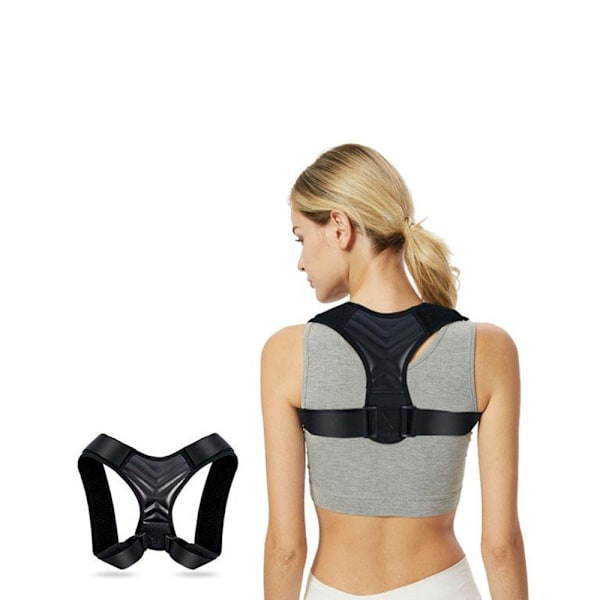 Rygstøtte for bedre holdning - XL (LGL)