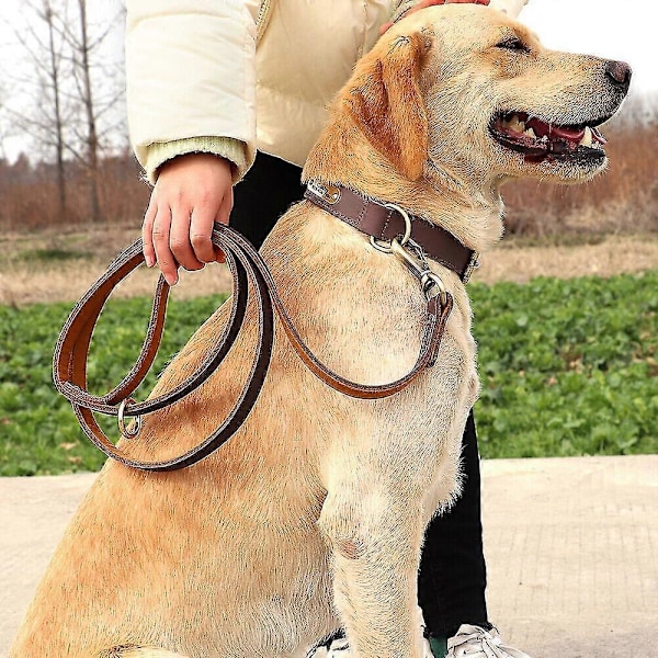Ægte Læder Hundesnor 150cm Lang Stærk Hundesnor Kraftig Hundeline LGL Brown 1.0cm*150cm