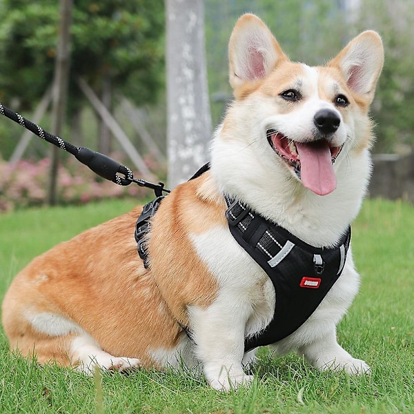 DUOMM HT-524 Åndbar Hundesele Reflekterende Hvalpe Sikkerhedsvest med Kontrolhåndtag ST - Gul LGL Black M
