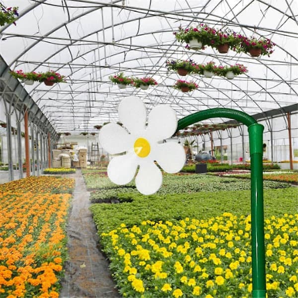 Tanssiva Daisy -kastelulaite, punainen (LGL)