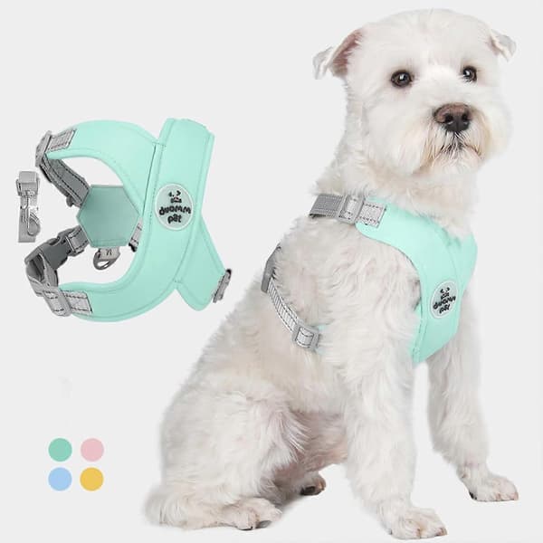 Hundsele No Pull Väst för Små Mellanstora Hundar, Reflexfri Design med Solid Metall D-Ring och Koppel (LGL)