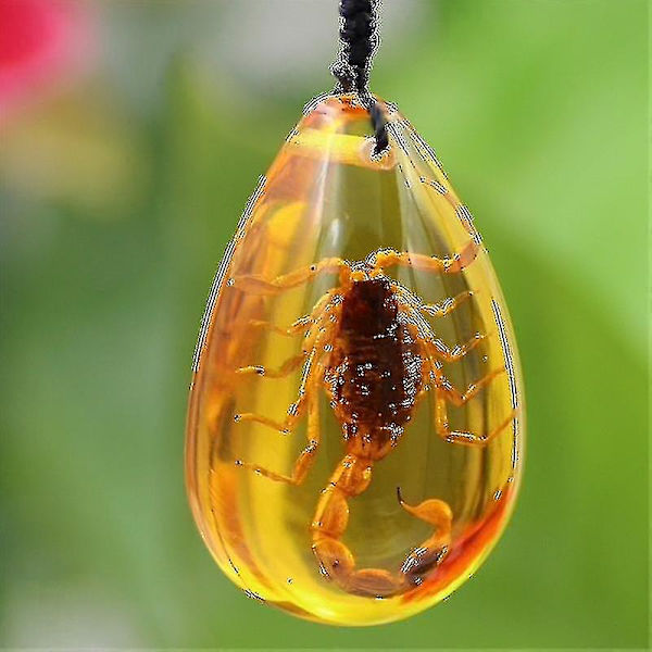 Insekt Skorpioner Rav Baltisk Anheng Halskjede Resin Amberoid Halskjede Hjem Dekorativ Stein [GGL]