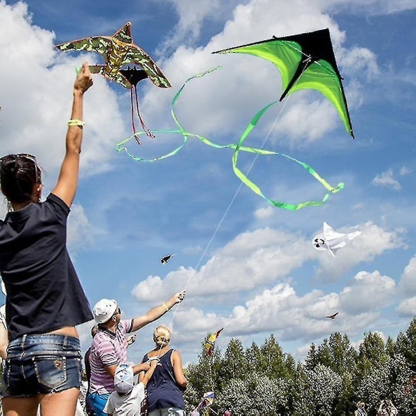 160cm Super Huge Kite Line, Stunt Kites Flying, Long Tail Outdoor Fun Wanke[GL]