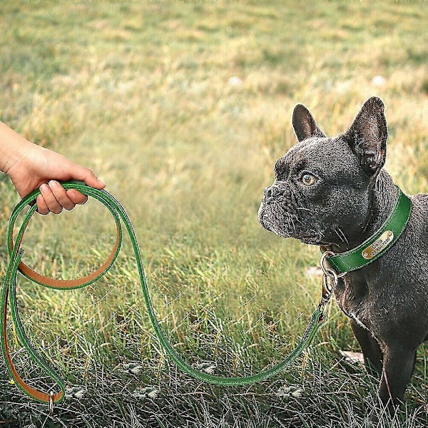 Ægte Læder Hundesnor 150cm Lang Stærk Hundesnor Kraftig Hundeline LGL Green 1.0cm*150cm