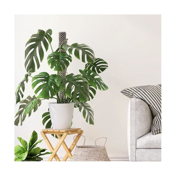 Plastik Monstera Mosstokke Net Kit, DIY Selv-vanding Mosstok Til Planter, Monstera Støtter