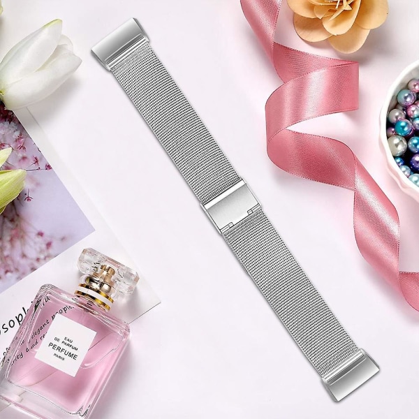 Kvalitets smartklocka armband justerbar smartklocka band ersättning för Fitbit Charge 6/5 [LGL] Silver Style B Fitbit Charge 6