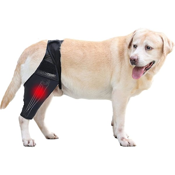 Knebeskytter for hund, benbeskytter for hund, hoftebeskyttelse for korsbåndskader, CCL, patellaluksasjon eller osteoartritt LGL L