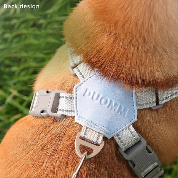 Hundsele No Pull Väst för Små Mellanstora Hundar, Reflexfri Design med Solid Metall D-Ring och Koppel (LGL)