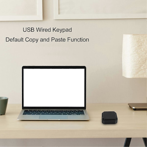USB Kablet Tastatur Standard Kopier og Lim Inn Funksjon Programmerbar Enter Space Save Return Datamaskin Enkel Tast YEMAA LGL