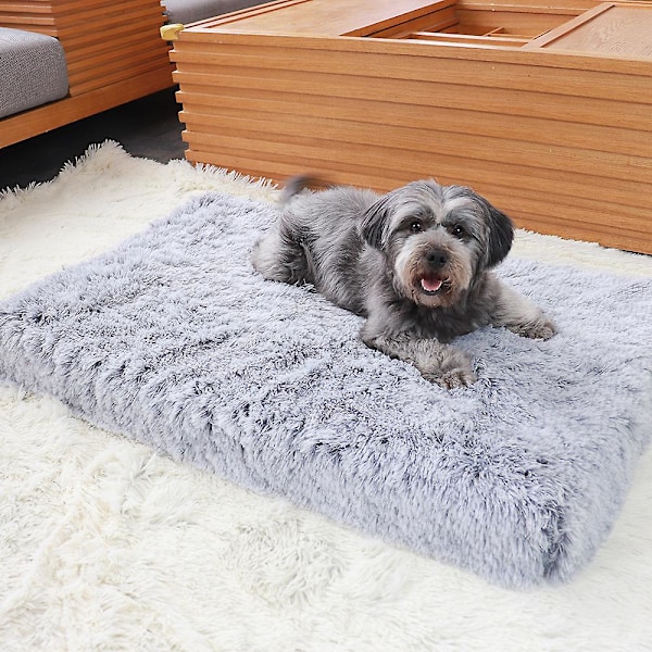 Hundbädd Tvättbar, Mjuk Plysch Lugnande Hundbäddar Hundbur Madrass Kudde för Stora Mellanstora Små Hundar Fluffig Hundmatta LGL 40*30*5cm