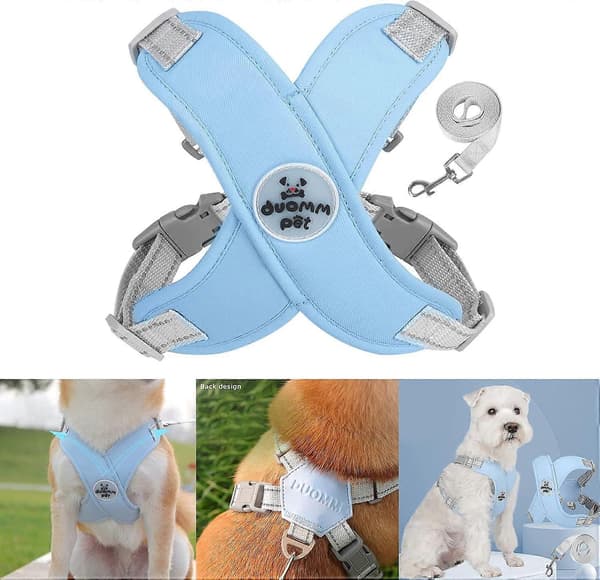 Hundsele No Pull Väst för Små Mellanstora Hundar, Reflexfri Design med Solid Metall D-Ring och Koppel (LGL)
