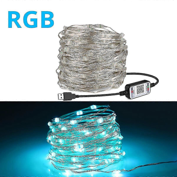 10m/20m USB Juletræ LED Lysstreng med Smart Bluetooth App Fjernbetjening Hjemmedekoration Fe-Garland (LGL) RGB 10M 100LEDs