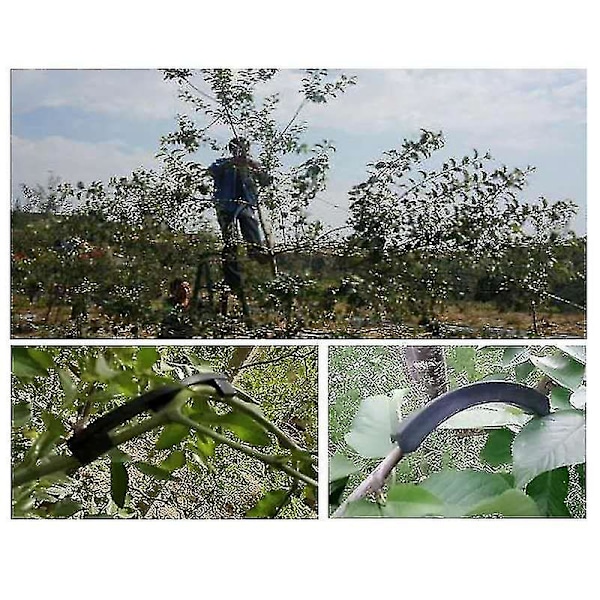 Hedelmäpuun oksan taivutin Puutarhatyökalu Puun oksan muotoilu Kiinnityslaite Plant-yvan [LGL]