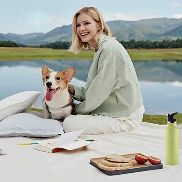 Hydro Flask Standard Munnskyllflaske Sugerør 2 Sett Kompatible (LGL)