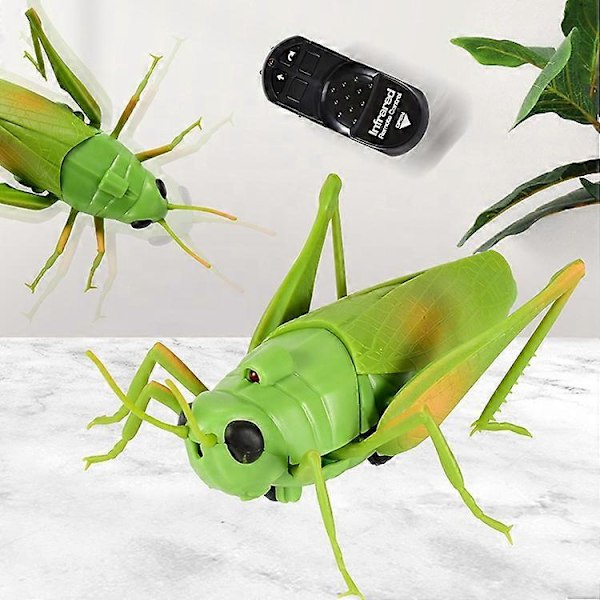Simuleringsinsekt Infraröd Fjärrkontroll Djurleksak RC Skorpion Spindel Nyckelpiga Barnpresent LGL Praying mantis