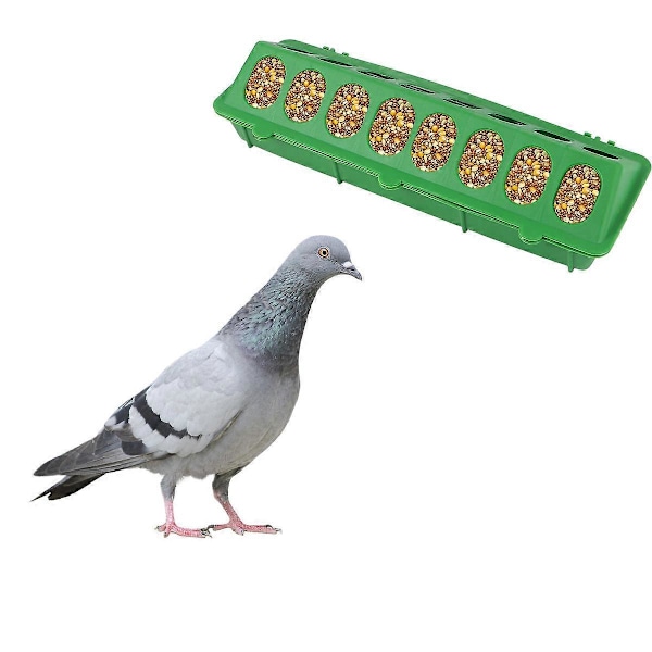 2 ST Pigeonhus Matkrubba Plast Duva Matningsränna Förtjockning Duva Matningsplats Ny Duva Matlåda för Hem Djuraffär (Slumpmässig Färg LGL 30X12.5CM