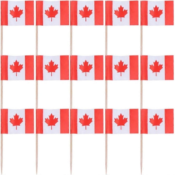 100 kpl Mini Kanada Lippu Cupcake Koristeet Puu Hammastikku Kakku Koristeet Valinnat Maailman Maan Urheilujuhlatarvikkeisiin LGL Canada