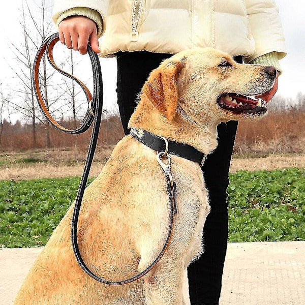 Ægte Læder Hundesnor 150cm Lang Stærk Hundesnor Kraftig Hundeline LGL Black 1.0cm*150cm