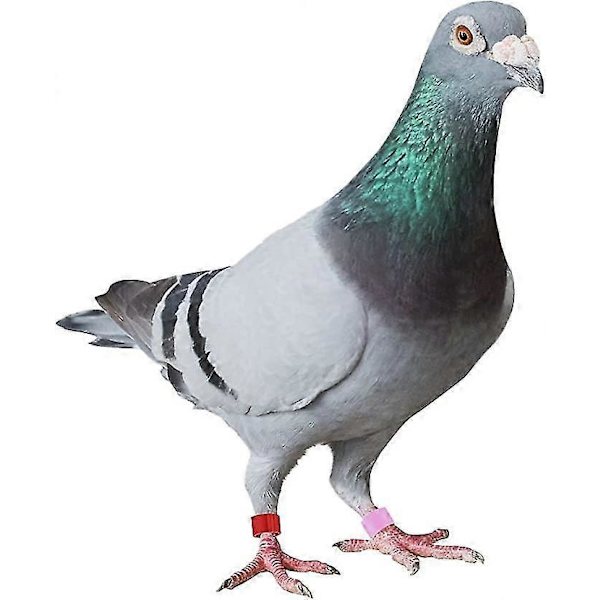 Iec320 C14 - C13 -jatkojohto, C14 ruuvinrei'illä ja C13 lyhyt pituus (LGL)