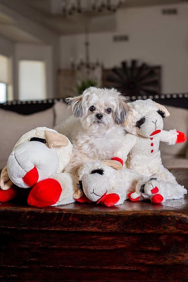 Mjuk hundleksak, Lambchop, 25 cm Regular, Vit, Stor (LGL)