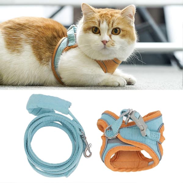 Kattsele och koppelset, Reflex, Blå Orange, M, 1,5m rep (LGL)