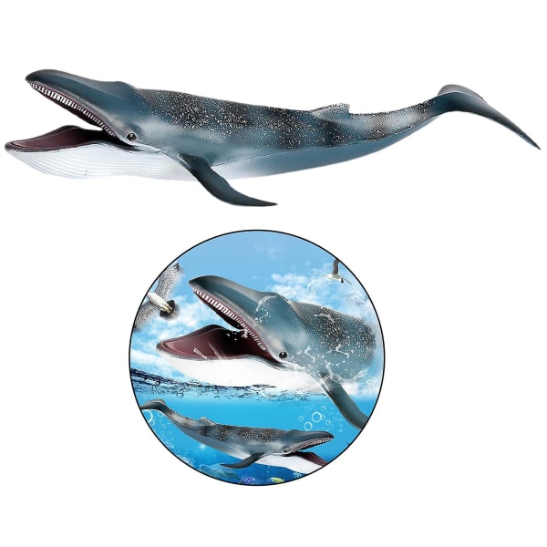 Naturtro blåhval actionfigurer Sjødyrskapsmodell Læreleketøy Blue