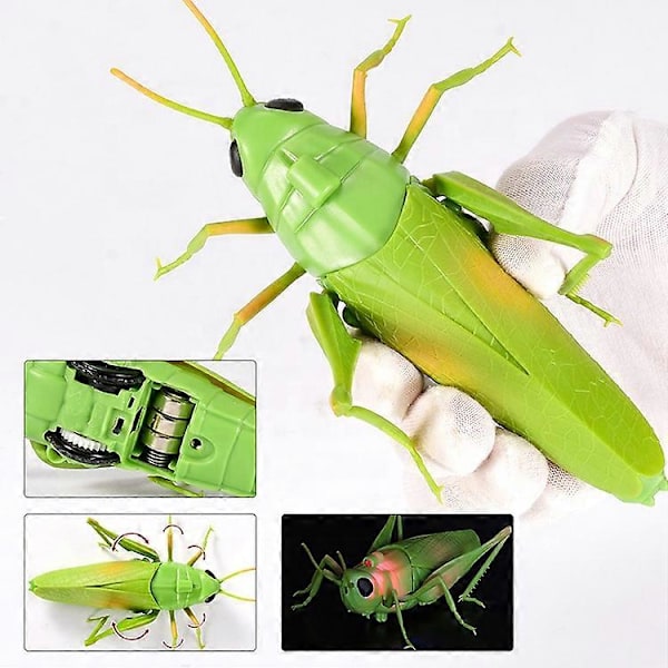 Simuleringsinsekt Infraröd Fjärrkontroll Djurleksak RC Skorpion Spindel Nyckelpiga Barnpresent LGL Praying mantis